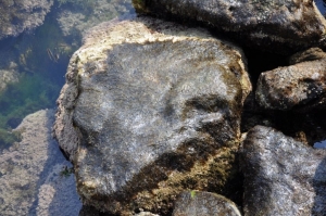 Project Title 3